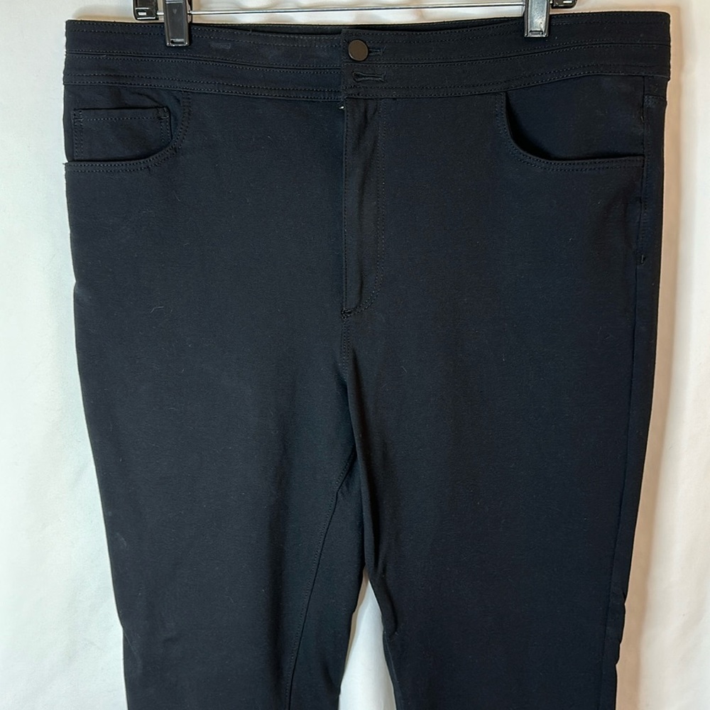 Ann Taylor Pant